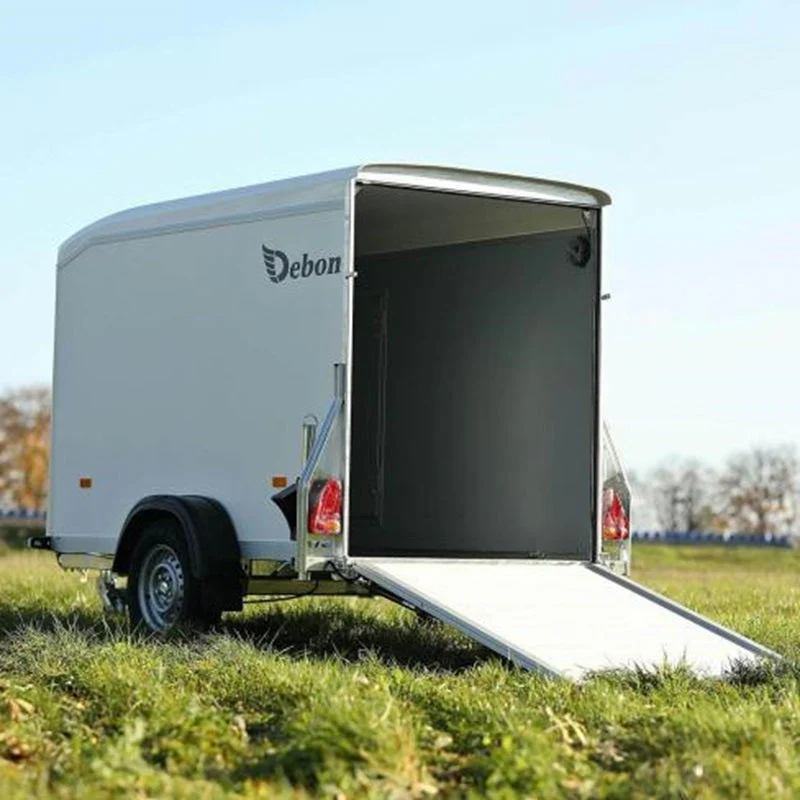 Furgoneta Debon Roadster 255 - Imagen 2